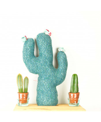 Coussins Cactus